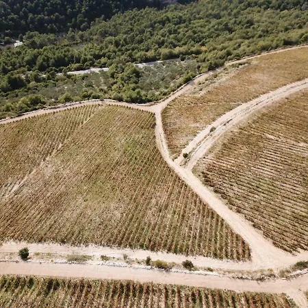 Sobe Nicole Apartmán Opuzen (Dubrovnik-Neretva)