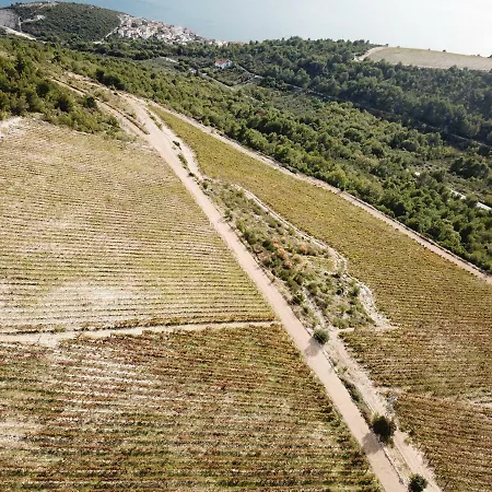 Sobe Nicole 公寓 Opuzen (Dubrovnik-Neretva)